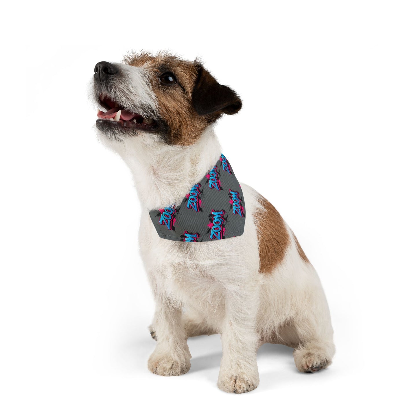 Fun ZOOM ZOOM Pet Bandana Collar for Dogs - Adjustable & Stylish