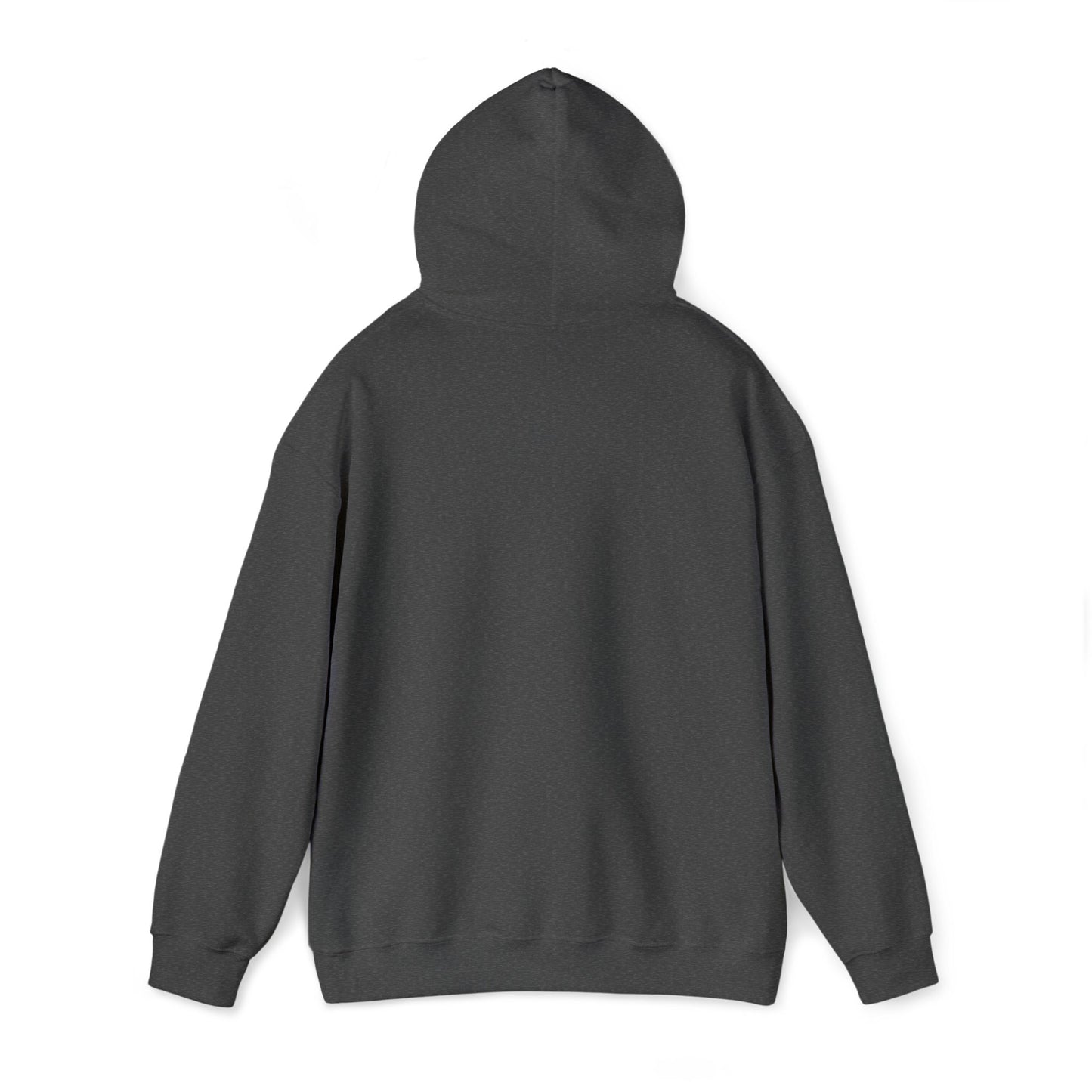 Lair Gadgets Unisex Hoodie - Cozy Heavy Blend™ Sweatshirt for Everyday Comfort