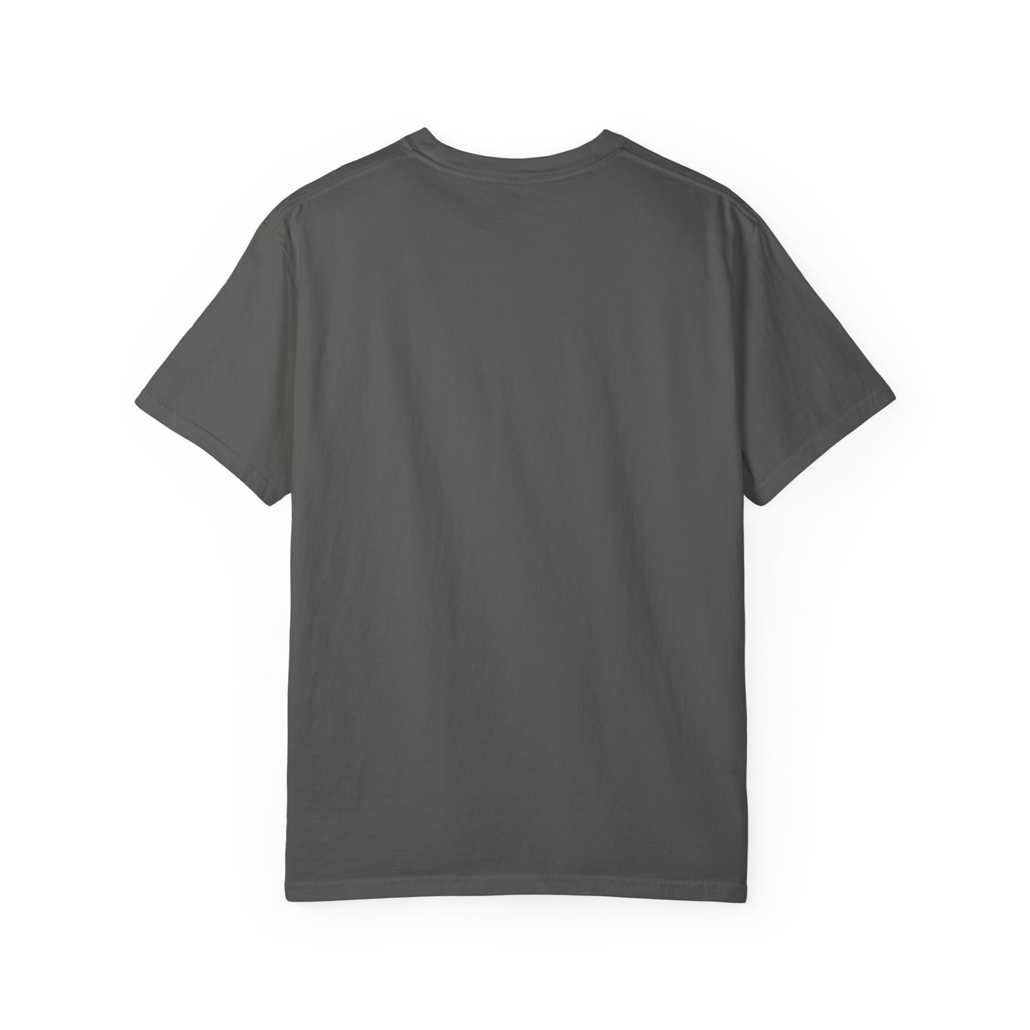 Cat Lover's 'Seize the Day' Garment-Dyed T-Shirt